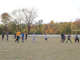 gallery image 37